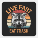 Pesquisar por raccoon adesivos Vintage