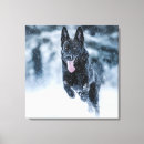 Pesquisar por dog impressão de canvas Animal