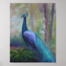 Pesquisar por azul de pavão pósteres pôsteres For her