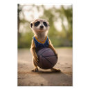 Pesquisar por basquetebol fotos pôsteres Jogador