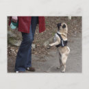 Pesquisar por bege cartoes postais Fofo