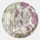 Pesquisar por árabes adesivos Animais