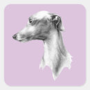 Pesquisar por whippet adesivos Greyhound