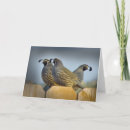 Pesquisar por imagens da natureza cartoes Animais