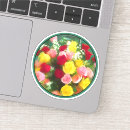 Pesquisar por rose adesivos Vermelho