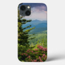 Pesquisar por appalachian eletronicos Forest