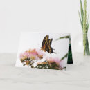 Pesquisar por melhoras cartoes Manter contato