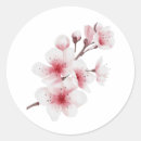 Pesquisar por okinawa adesivos Japonês
