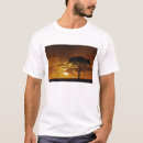 Pesquisar por acácia camisetas Cênico
