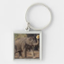 Pesquisar por tailândia chaveiros Asia