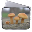 Pesquisar por cogumelo 15 laptop sleeves Natureza