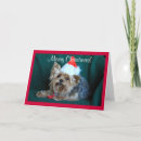 Pesquisar por yorkshire terrier christmas cartoes postais Cachorros