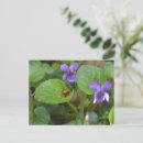 Pesquisar por os joaninhas cartoes postais Pássaro