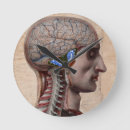 Pesquisar por anatomia relogios de parede Doutor