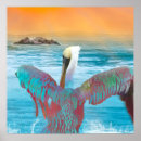 Pesquisar por pelicanos pósteres pôsteres Pelicano marrom