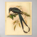 Pesquisar por vintage preto e branco pôsteres Impressão