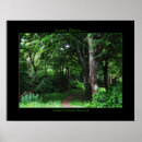 Pesquisar por ireland pósteres pôsteres Nature