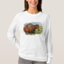 Pesquisar por cavalo para venda camisetas Palouse