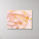 Pesquisar por pétala impressão de canvas Rosa