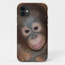 Pesquisar por primata capas Animais selvagens