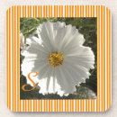 Pesquisar por cosmos porta copos Natureza