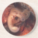 Pesquisar por gravidez porta copos Bebê