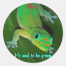 Pesquisar por lagarto verde adesivos Natureza