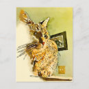 Pesquisar por nose cartoes postais Gatinho