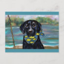 Pesquisar por preto labrador retriever de cartoes postais Labs