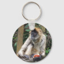 Pesquisar por do macaco chaveiros Selva