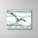 Pesquisar por ondas impressão de canvas Pelicanos