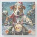 Pesquisar por moto porta copos Animal