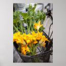 Pesquisar por bicicleta flores pósteres pôsteres Qualquer pessoa