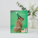 Pesquisar por boxe cartoes Cão de boxe