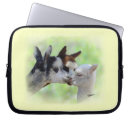 Pesquisar por alpaca capas Lama
