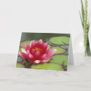 Pesquisar por judy cartoes Jamie