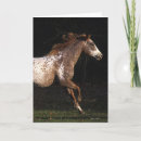 Pesquisar por execução vertical cartoes Equestre