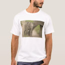 Pesquisar por elefante indiano camisetas Fauna