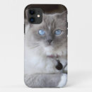 Pesquisar por ragdoll iphone capas Animal