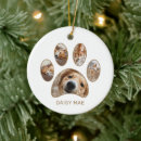 Pesquisar por pegada ornamentos For pets