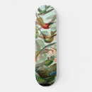 Pesquisar por trabalhos de arte skates Natureza
