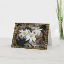 Pesquisar por o aniversário da cunhada Branco