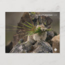 Pesquisar por a américa latina cartoes postais Natureza