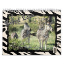 Pesquisar por zebra calendarios Natureza