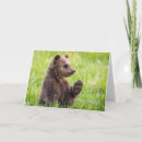 Pesquisar por da pata urso cartoes Animal