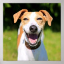 Pesquisar por cachorros pósteres pôsteres Feliz