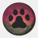Pesquisar por pata urso imas Animal