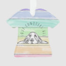 Pesquisar por basset hound enfeites de natal ornamentos Cachorro