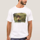 Pesquisar por ludwig camisetas Flores