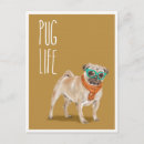 Pesquisar por pug engraçado cartoes postais Cães